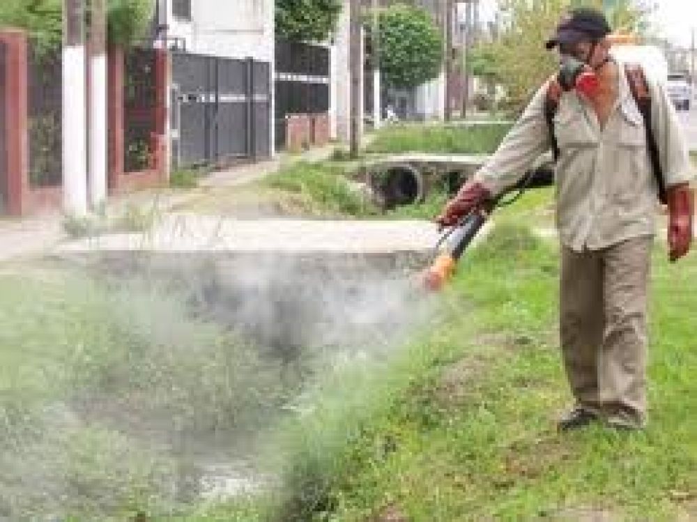 La municipalidad realiza tareas de desinsectaci�n en la ciudad