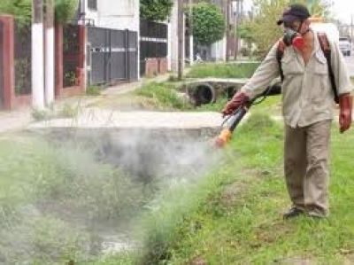 La municipalidad realiza tareas de desinsectaci�n en la ciudad