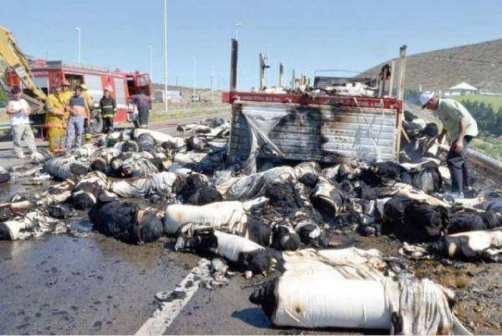 Se incendi� un cami�n que transportaba telas desde R�o Grande hacia Buenos Aires