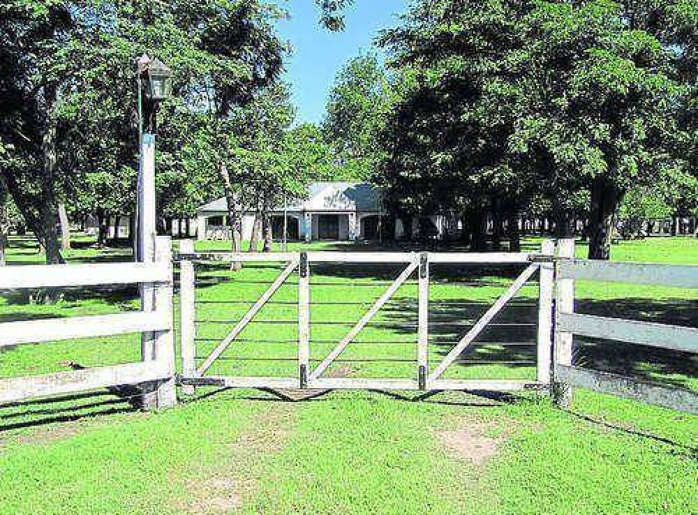 Productor de la zona de Azul denunci� un faltante de vacas por 750.000 pesos