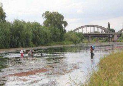 Problemas por bajo caudal del r�o 