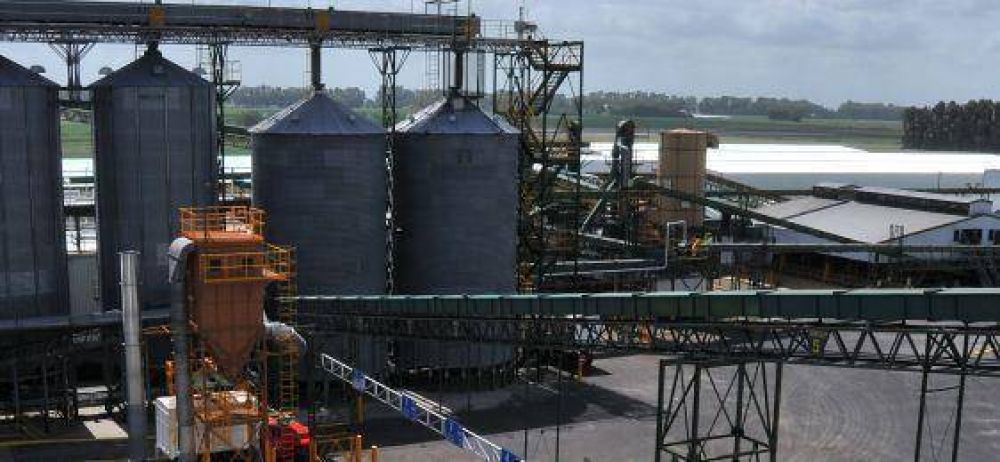 Monsanto retom� la construcci�n de su megaplanta en Malvinas Argentinas  