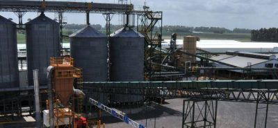 Monsanto retom� la construcci�n de su megaplanta en Malvinas Argentinas  