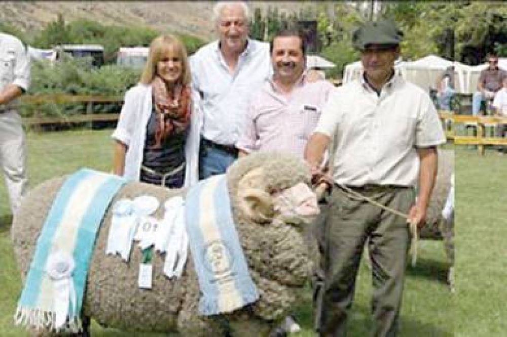 Hoy comienza la 88� Expo Ovina Esquel