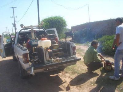 Salud tambi�n combati� al Aedes Aegypti en S�enz Pe�a