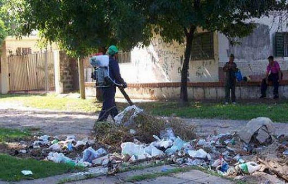 Temen aumento de vectores de Dengue y Leishmaniasis