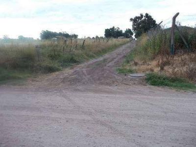 Muri� una mujer que en Chillar hab�a resultado herida cuando iba en bicicleta y fue atropellada por una moto