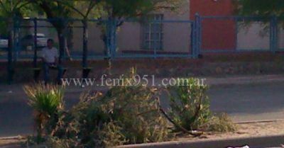 Mucha basura, un centro oscuro y el particular aroma de los contenendores