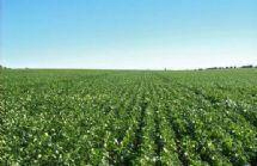 NOA: Crecieron las exportaciones de manufacturas de origen industrial y agropecuario
