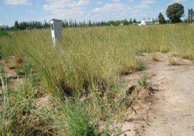 ARSA cortar� el agua a los loteos privados con conexiones ilegales 