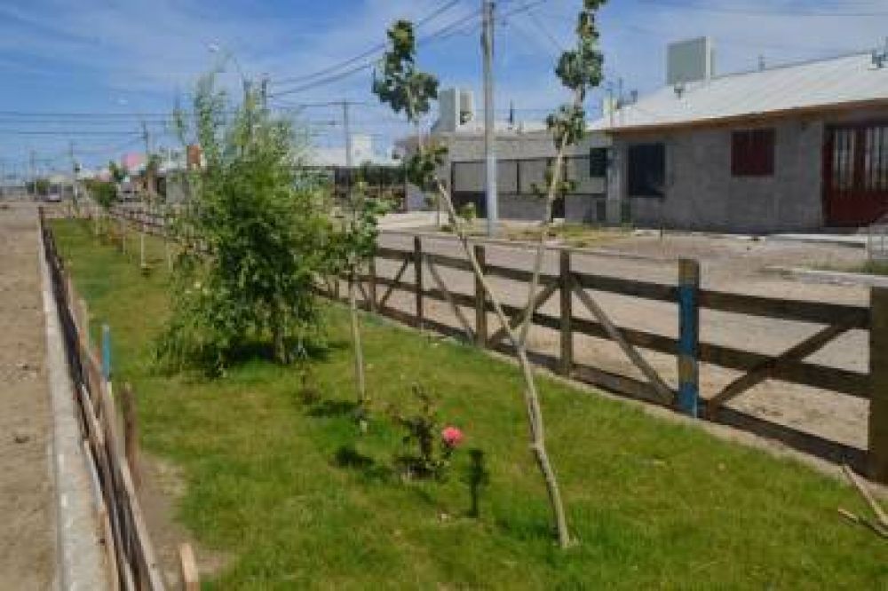Di Pierro reconoci� a joven que reacondicion� un boulevard de su barrio