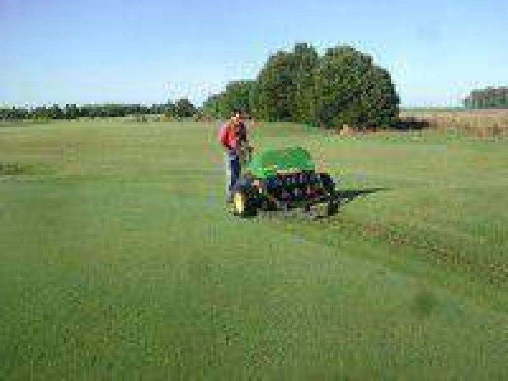 Importantes tareas de mejoras en la cancha del Saladillo Golf Club