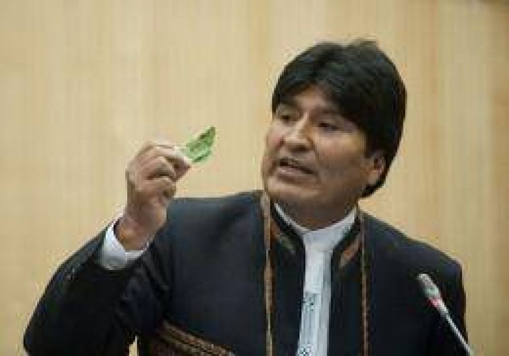 Evo Morales anunci� la exportaci�n de coca y derivados sin alcaloides