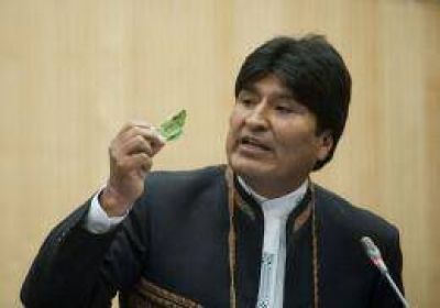 Evo Morales anunci� la exportaci�n de coca y derivados sin alcaloides
