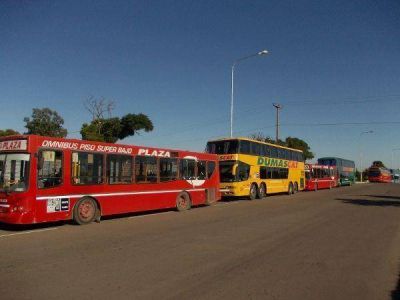 Colectivos: "No tiene sentido hacer multas porque Plaza paga y sigue todo igual"