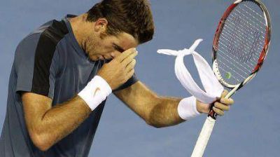 Del Potro cay� ante Jeremy Chardy y qued� eliminado del torneo