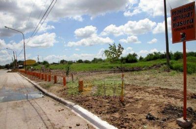Aplauso: limpiaron el mini basural de Marconi y calle 4