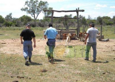 Envenenan pozo de agua y mueren animales en reserva aborigen