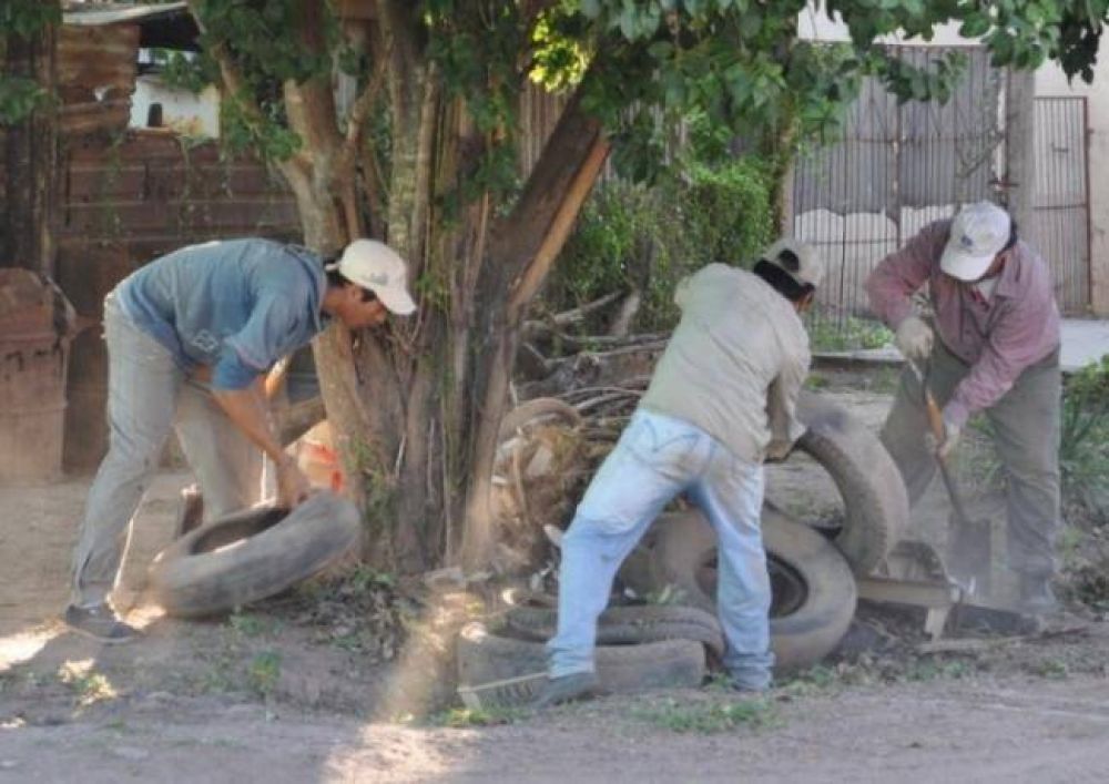 Dengue: Operativo de Control de Vectores en Pinedo