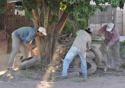 Dengue: Operativo de Control de Vectores en Pinedo