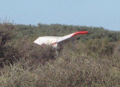 Mueren dos personas al caer un aeroplano en Punta Alta