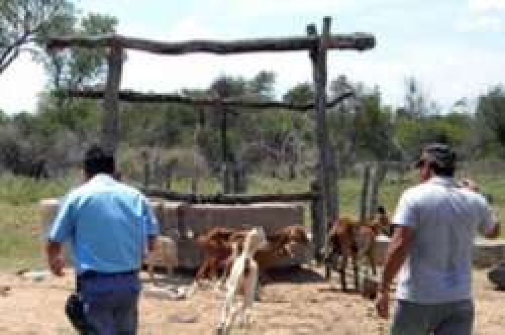 Intentaron envenenar a familias ind�genas en Pampa del Infierno		