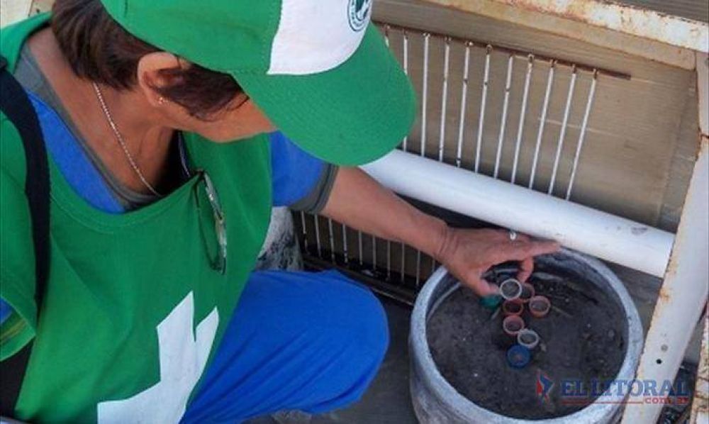 Descartaron los casos sospechosos de dengue, pero sigue el riesgo de brote