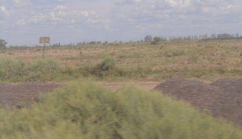 Santa Rosa, del damasco a la ropa �Salada�