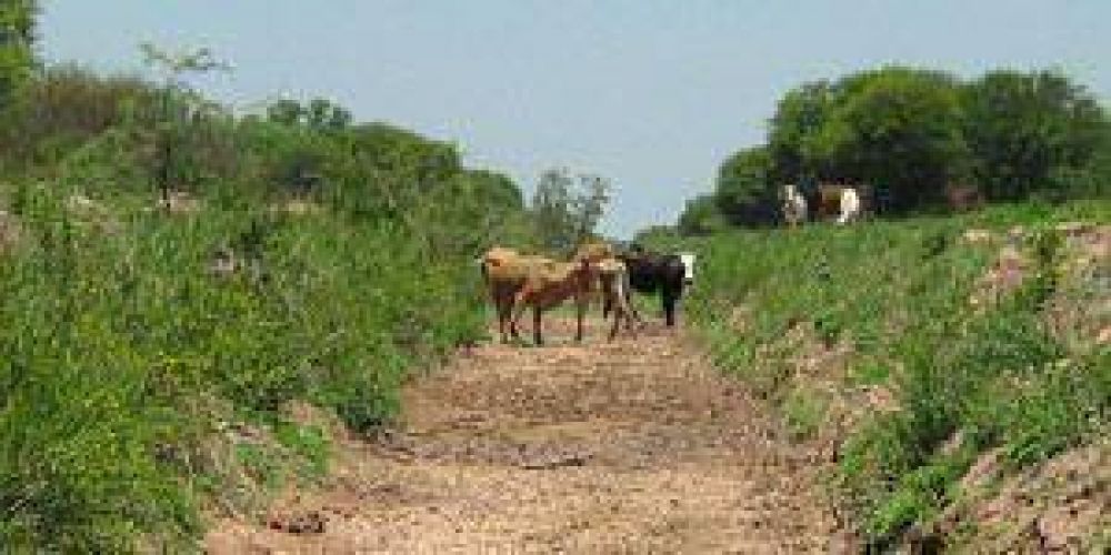 Oeste: preocupa a los productores la grave falta de lluvias