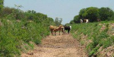 Oeste: preocupa a los productores la grave falta de lluvias