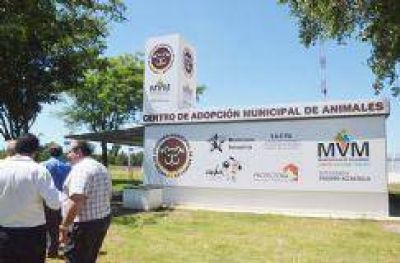 Otra entidad suma denuncias por la pol�tica local de control animal