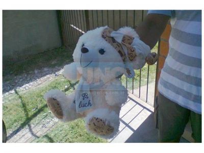 El due�o del osito robado se defendi� de las cr�ticas: ��Por qu� tengo que pensar en un delincuente?�