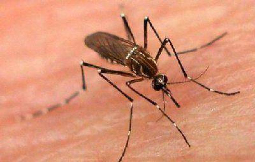 Medidas de prevenci�n contra el Dengue