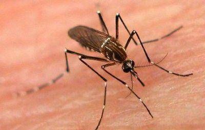 Medidas de prevenci�n contra el Dengue