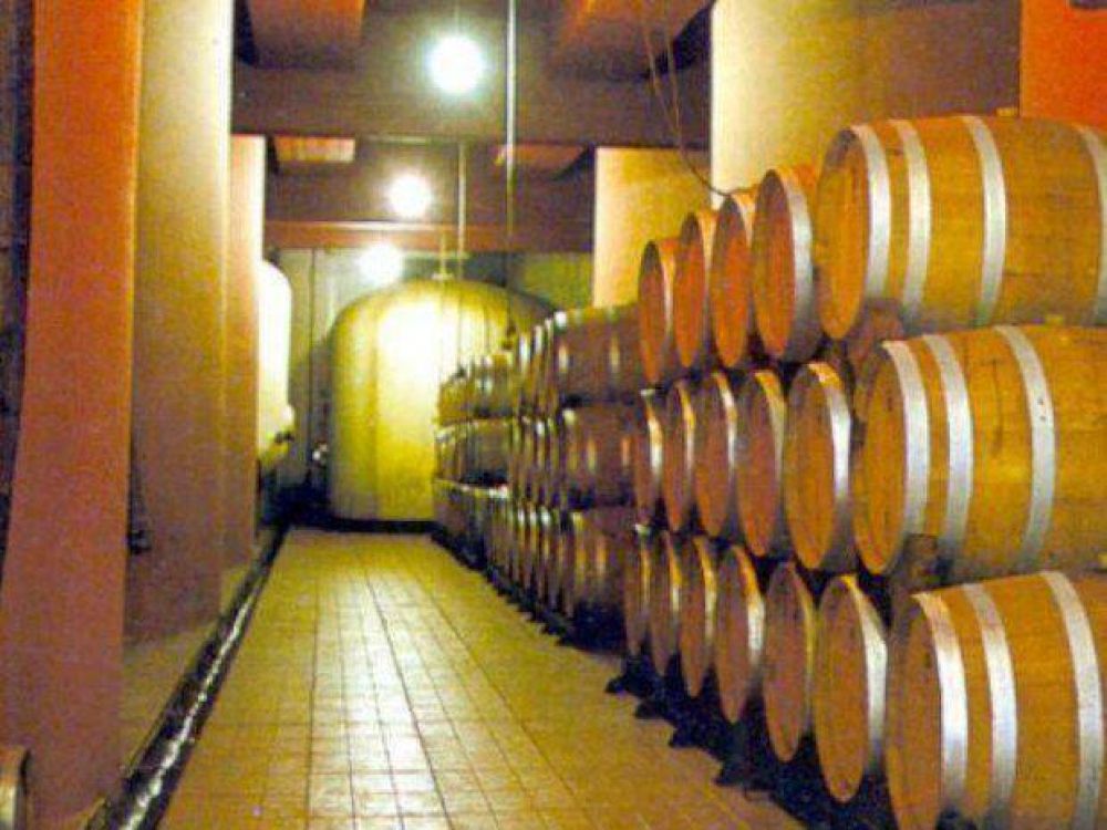 Los vinos salte�os �ganan altura� y preferencia en su tierra