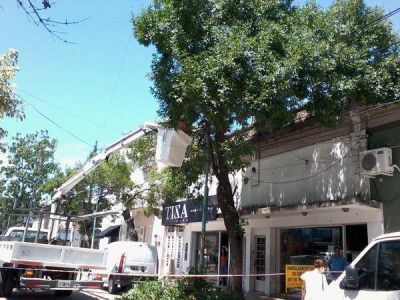 Un simple corto circuito oblig� a cortar el tr�nsito en 19 de Marzo