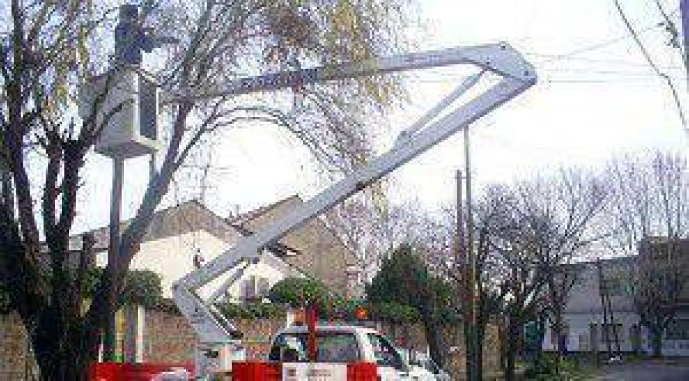 Reparan y colocan luces en todos los barrios de Lomas