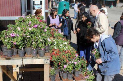 La producci�n de especies supera a la del a�o pasado en un 30 por ciento