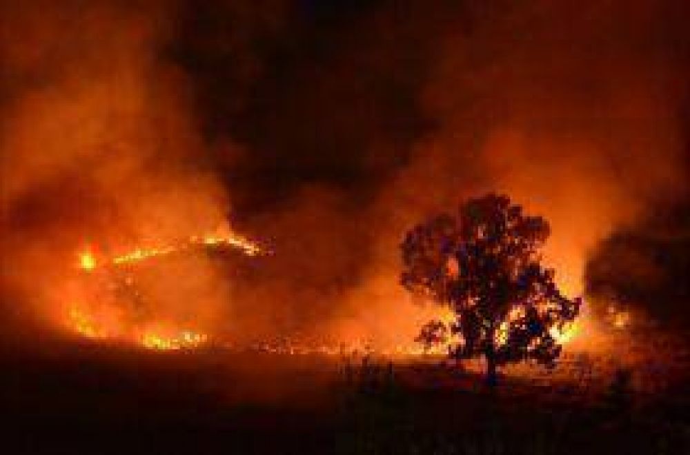 Dos importantes incendios en las sierras se registraron durante la tarde del martes