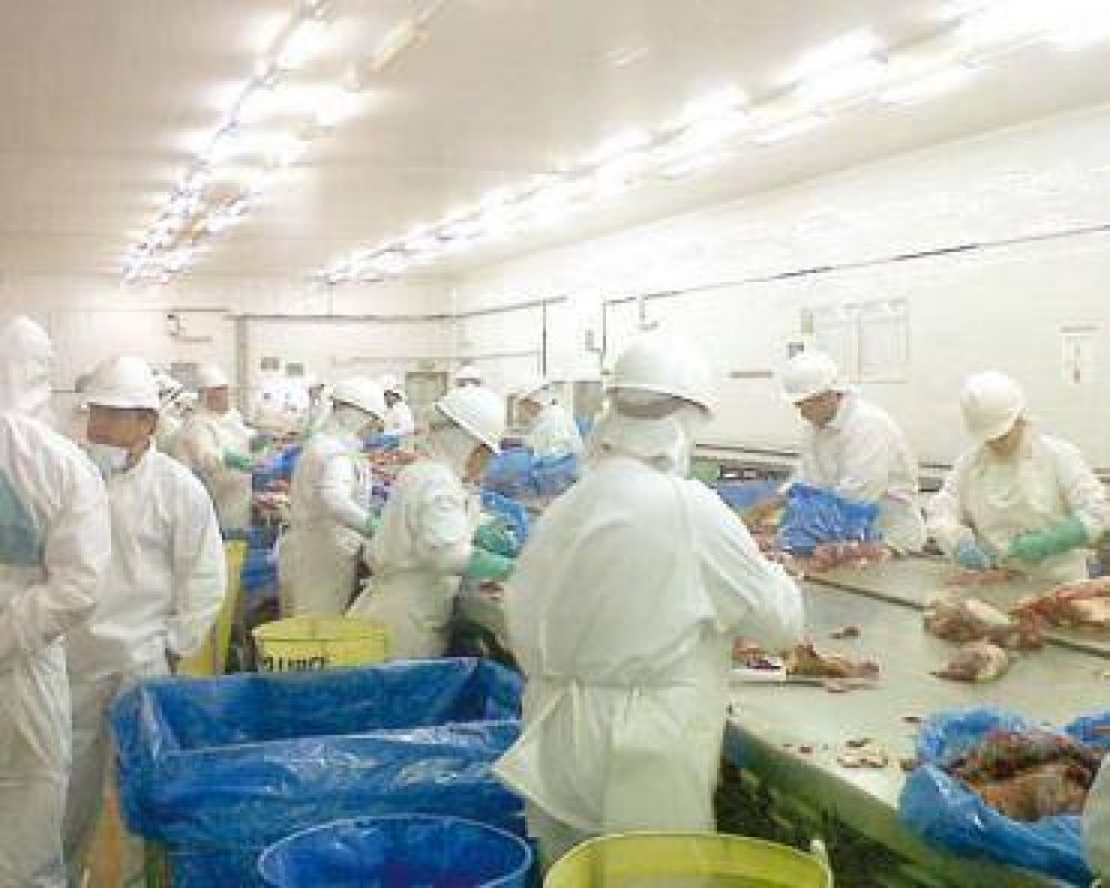 A pleno funciona el frigor�fico provincial en San Jos�