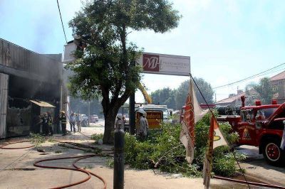 8 dotaciones de bomberos trabajaron m�s de 9 hs para sofocar un importante incendio en San Pedro