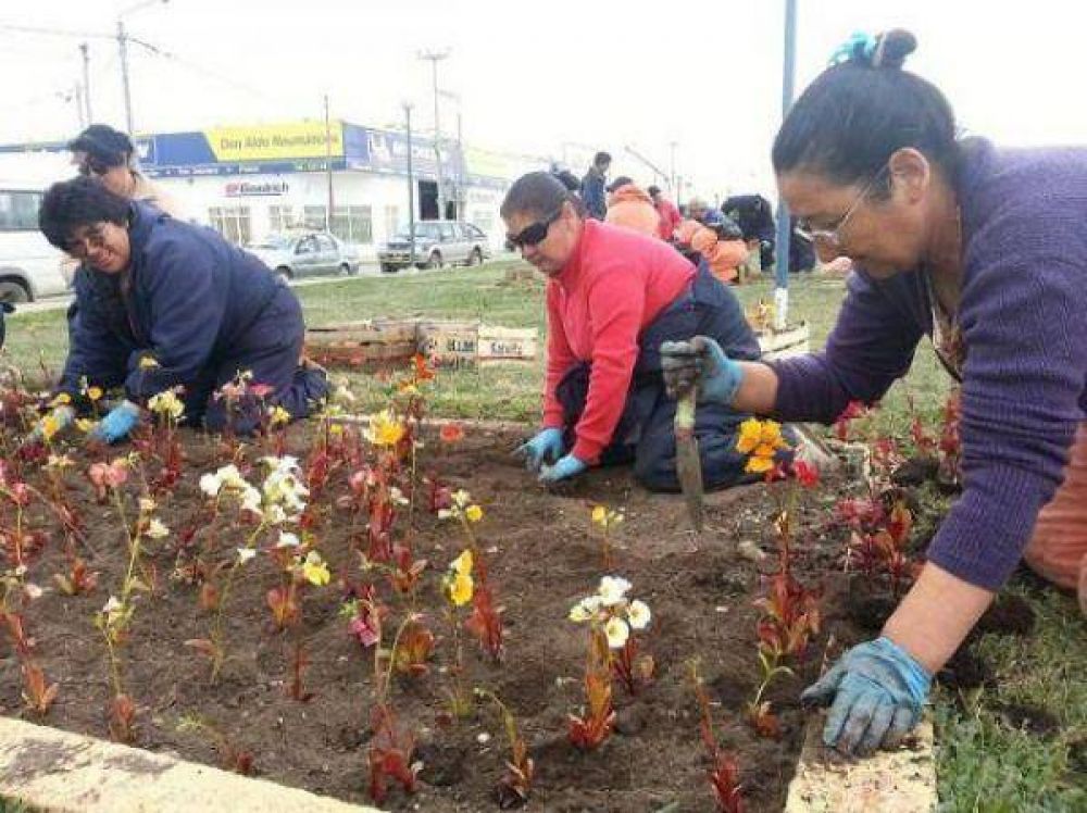 R�o Grande: el plan municipal de parquizaci�n ingres� en su etapa final