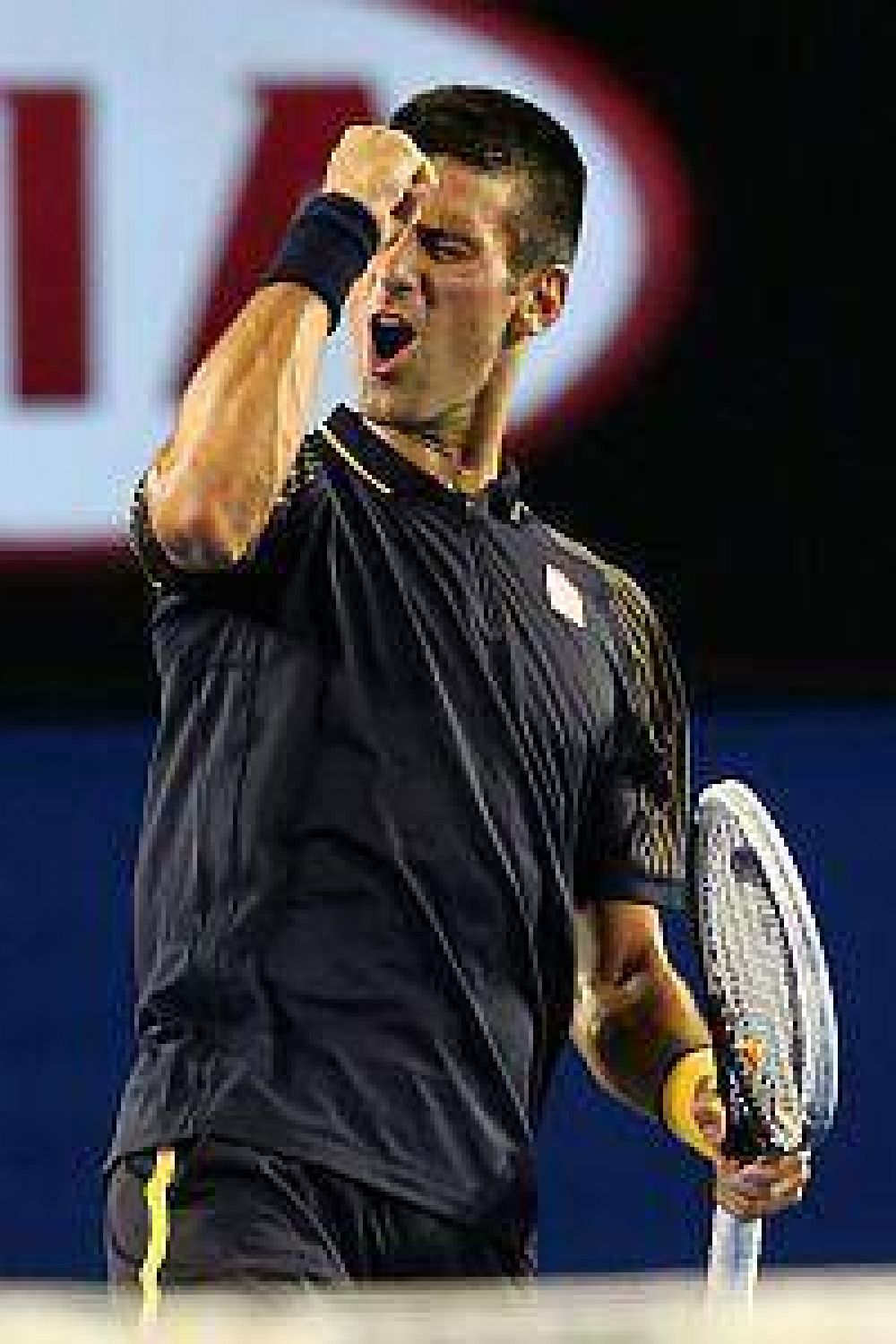 Djokovic apabull� a Ferrer y es finalista