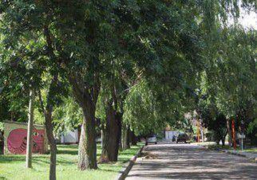 Robaron en una casa tras maniatar a la empleada 