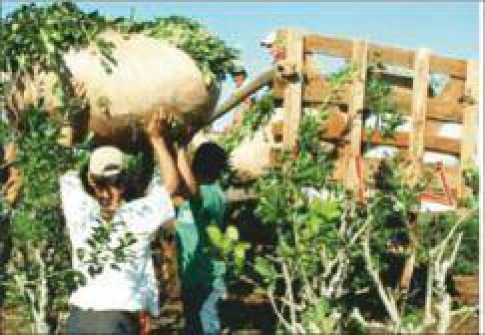 �Hay grandes expectativas en cuanto al precio que se pagar� por la yerba mate�, dijo Prietto