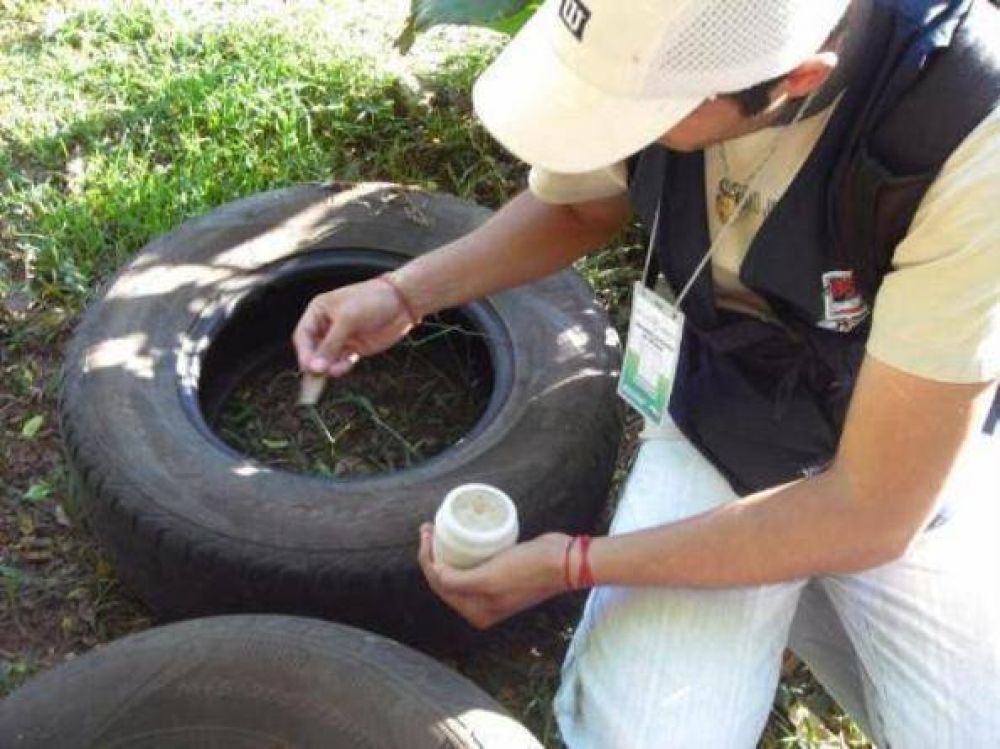 Se intensifican tareas de descacharrado en distintos puntos de la ciudad