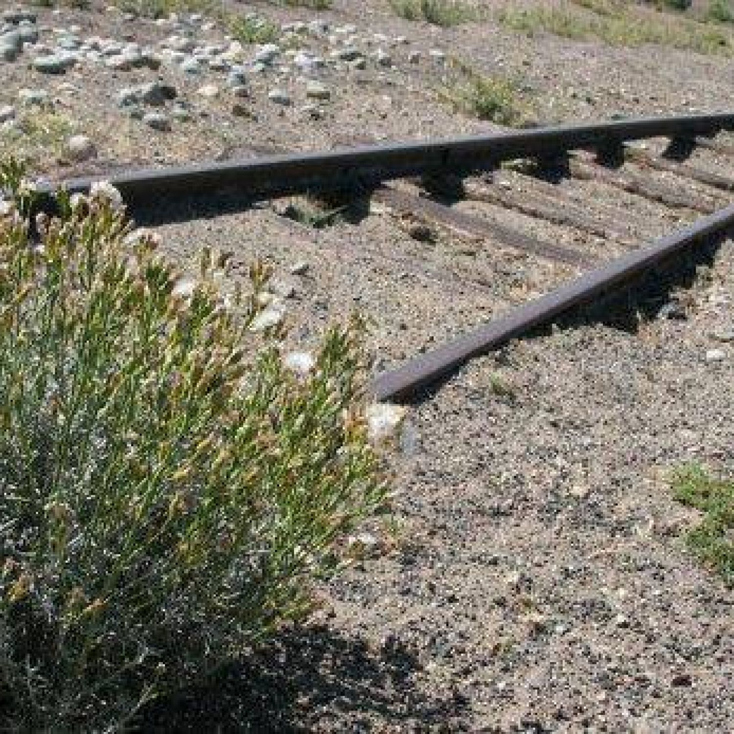 Reactivan un ramal ferroviario