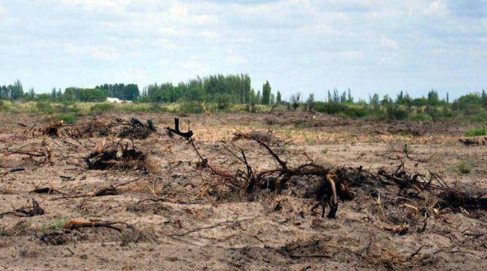 Piden la habilitaci�n y toma forma La Salada en Santa Rosa