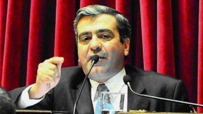 Cano: �En Tucum�n hay 20 mil ni�os con desnutrici�n severa�