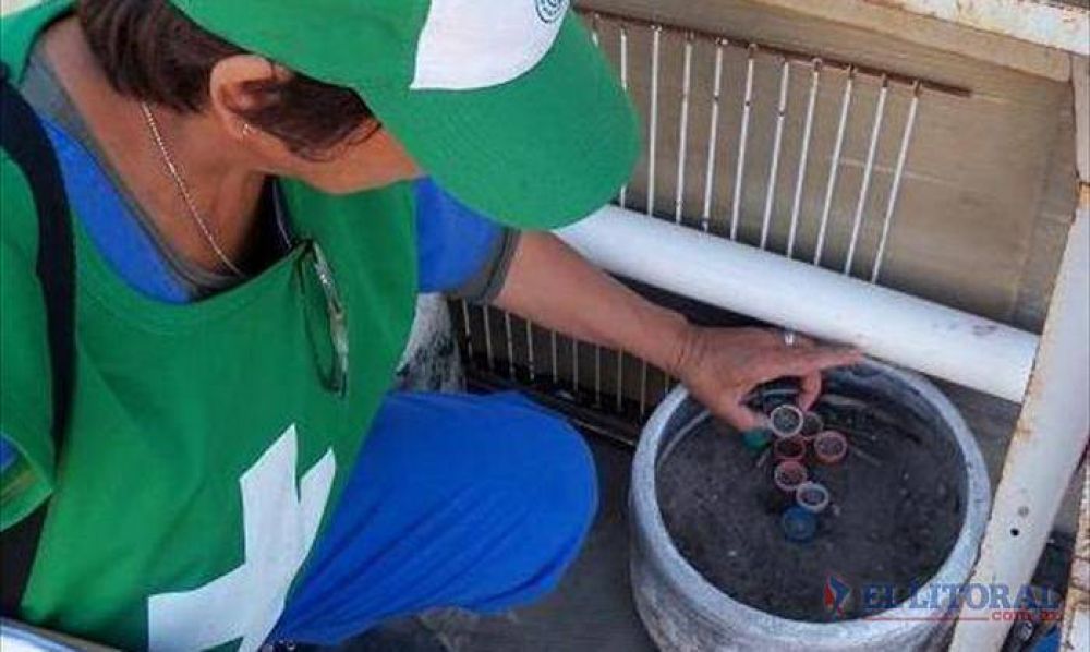 Se produjo la primera muerte en el NEA de un paciente con s�ntomas de dengue